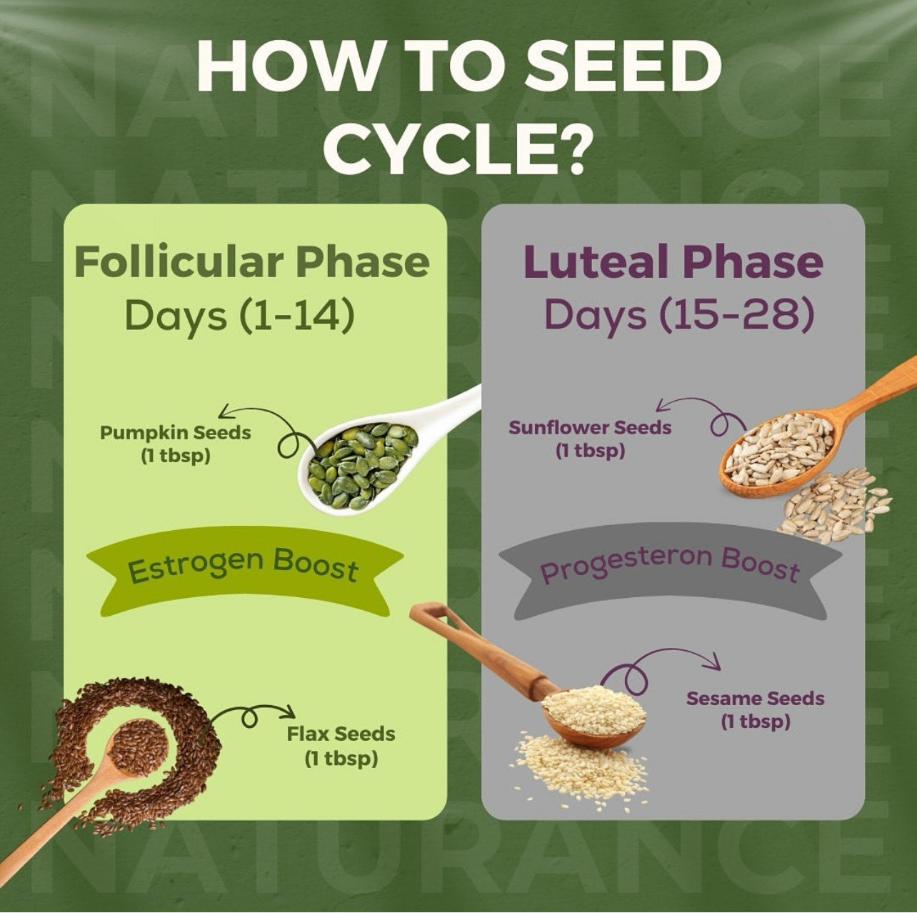 Seed Cycling Kit | 4 Essential Super Seeds | Flax, Pumpkin, Sesame, Sunflower (100g each)